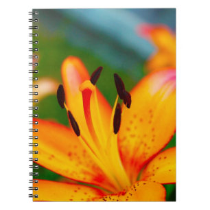 Lily II Notitieboek