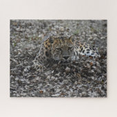 Lily in Leaves Legpuzzel (Horizontaal)