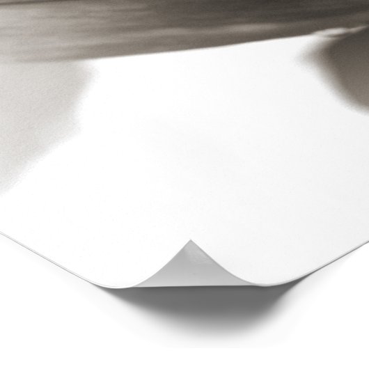 Lily in zwart en wit poster (Hoek)