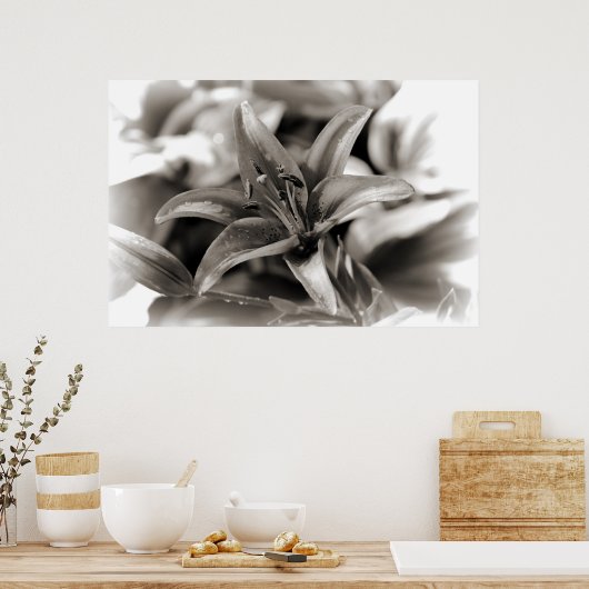 Lily in zwart en wit poster (Keuken)