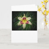 Lily, kaart (Gele Bloem)