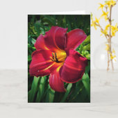 Lily, kaart (Gele Bloem)