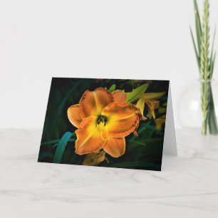 Lily, kaart