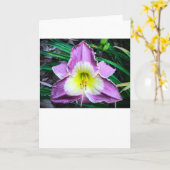 Lily, kaart (Gele Bloem)