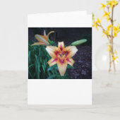 Lily, kaart (Gele Bloem)