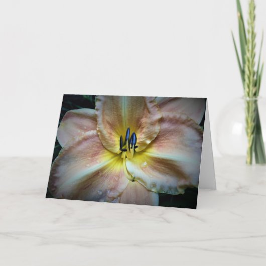 Lily, kaart (Voorkant)