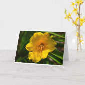 Lily, Kaart (Gele Bloem)
