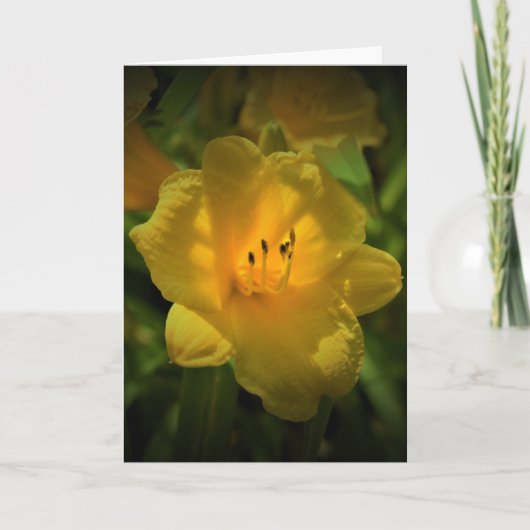 Lily, kaart (Voorkant)