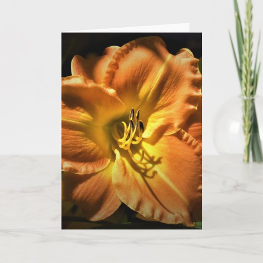 Lily, kaart (Voorkant)