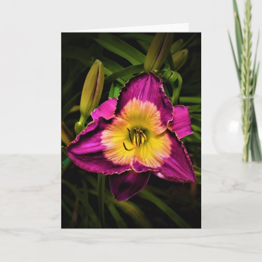 Lily, kaart (Voorkant)