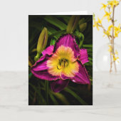 Lily, kaart (Gele Bloem)