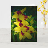 Lily, kaart (Gele Bloem)