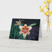 Lily, kaart (Gele Bloem)