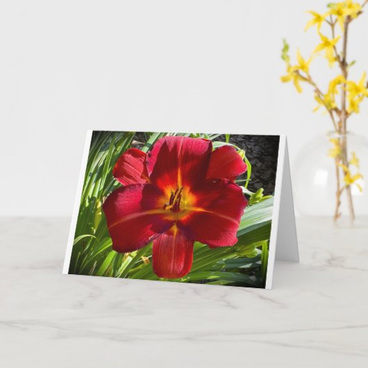 Lily, kaart (Gele Bloem)