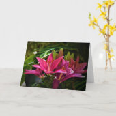Lily, kaart (Gele Bloem)