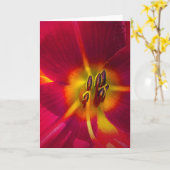 Lily, kaart (Gele Bloem)