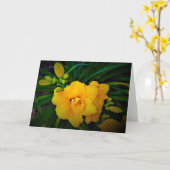 Lily, kaart (Gele Bloem)