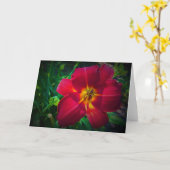 Lily, kaart (Gele Bloem)