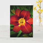 Lily, kaart (Gele Bloem)