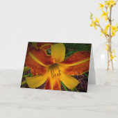 Lily, kaart (Gele Bloem)