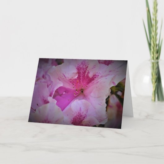 Lily, kaart (Voorkant)