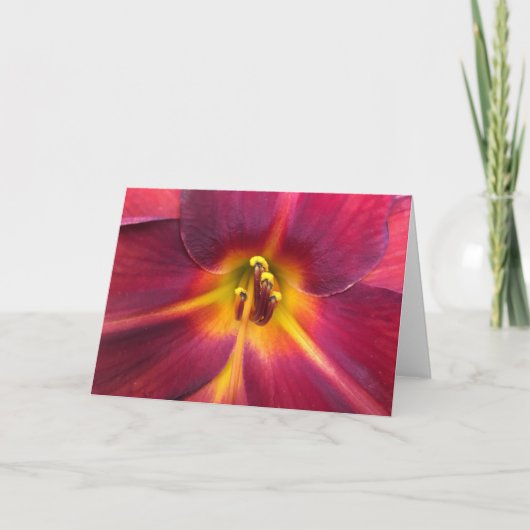 Lily, kaart (Voorkant)