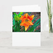 Lily, kaart (Voorkant)