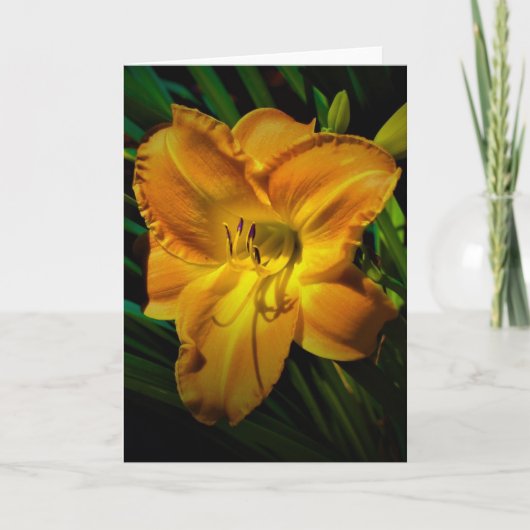 Lily, kaart (Voorkant)