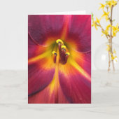 Lily, kaart (Gele Bloem)