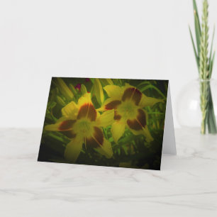 Lily, kaart