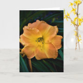 Lily, kaart (Gele Bloem)