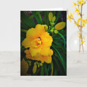 Lily, kaart (Gele Bloem)