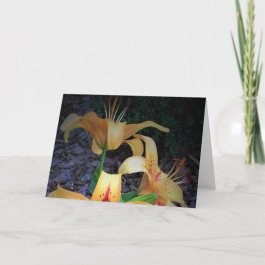 Lily, kaart (Voorkant)