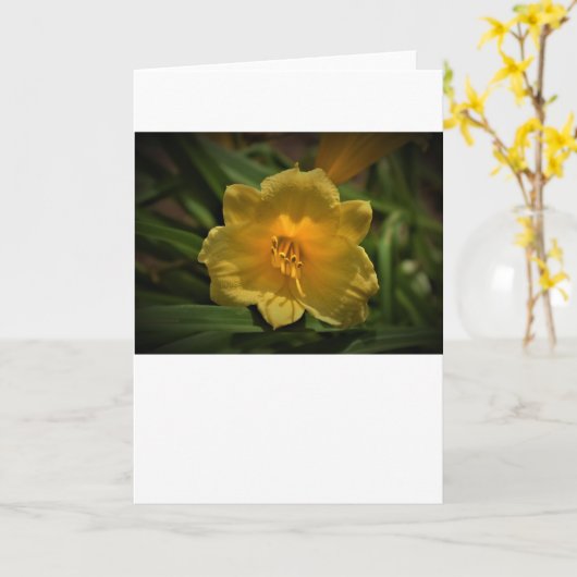 Lily, kaart (Gele Bloem)