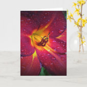 Lily, kaart (Gele Bloem)