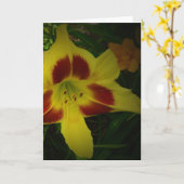 Lily, kaart (Gele Bloem)