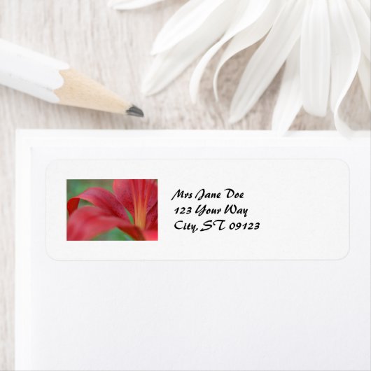 Lily Label (Insitu)