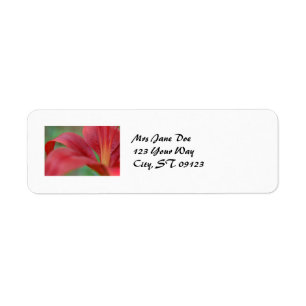 Lily Label
