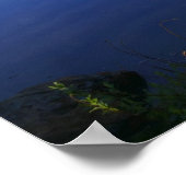 Lily Lake Poster (Hoek)