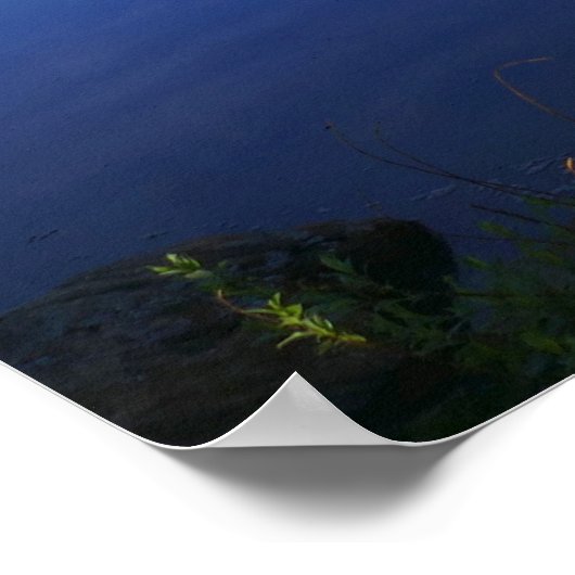 Lily Lake Poster (Hoek)