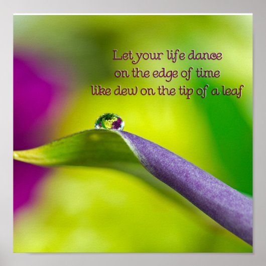 Lily Leaf Poster (Voorkant)