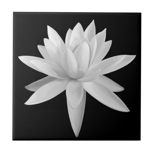 Lily Lotus Black and White Fine Art Photograph Tegeltje (Voorkant)
