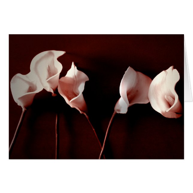 Lily Love (Voorkant Horizontaal)