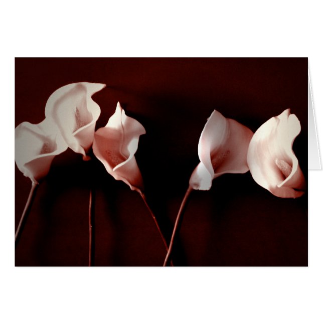 Lily Love (Voorkant Horizontaal)