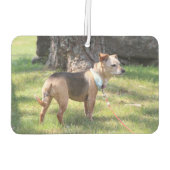 Lily Luchtverfrisser (Achterkant)