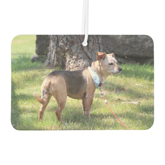 Lily Luchtverfrisser (Achterkant)