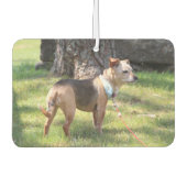 Lily Luchtverfrisser (Voorkant)