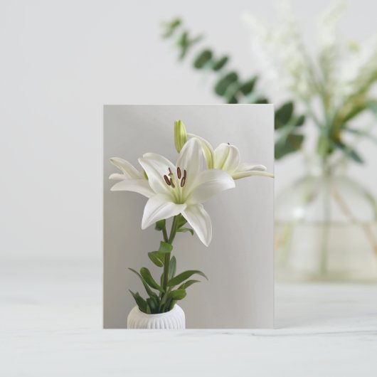 Lily Lullaby | Wit Eenvoudig Bloemschilderij Briefkaart (Staand voorkant)