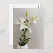 Lily Lullaby | Wit Eenvoudig Bloemschilderij Briefkaart (Voorkant / Achterkant)