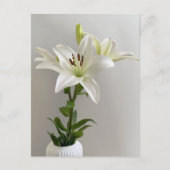 Lily Lullaby | Wit Eenvoudig Bloemschilderij Briefkaart (Voorkant)
